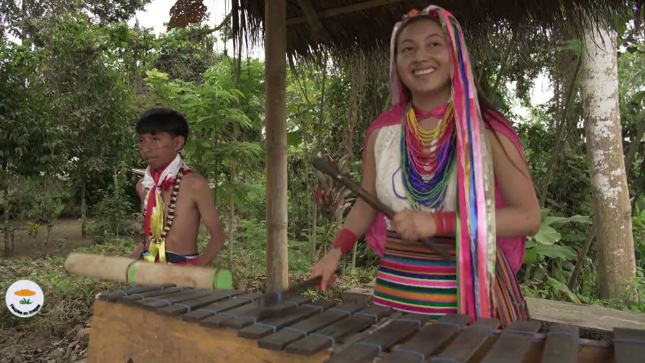 los Tsáchilas un produit d'appel touristique  pour Santo Domingo,  Equateur 2024.