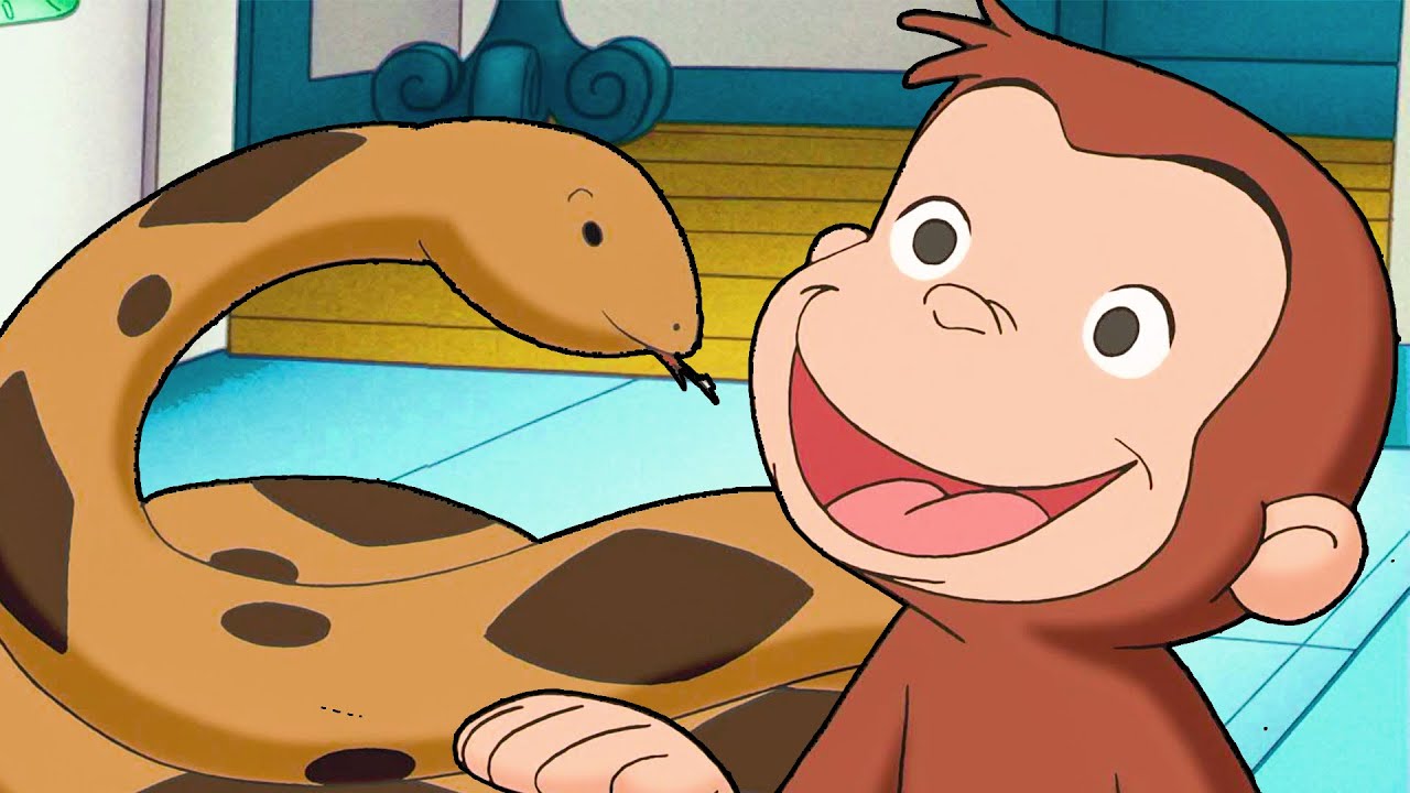 George fa da babysitter a un serpente! 🐵 Curioso Come George 🐵 Cartoni per Bambini