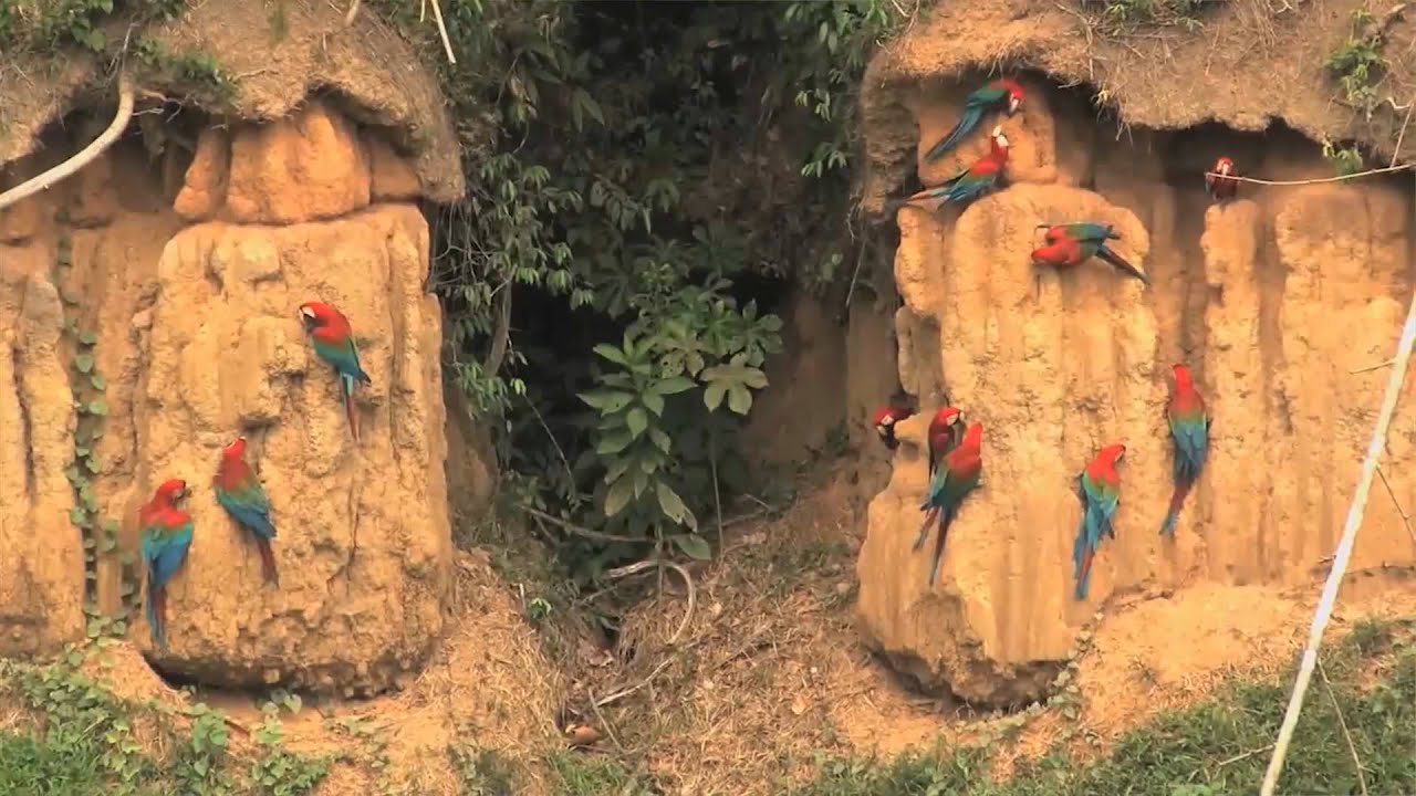 10 puntos más importantes de Laudato Si