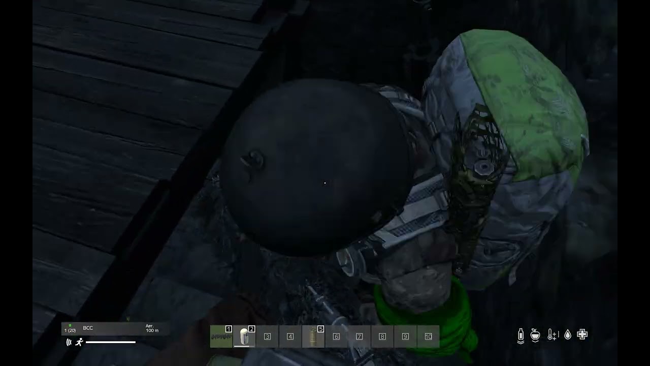 DayZ