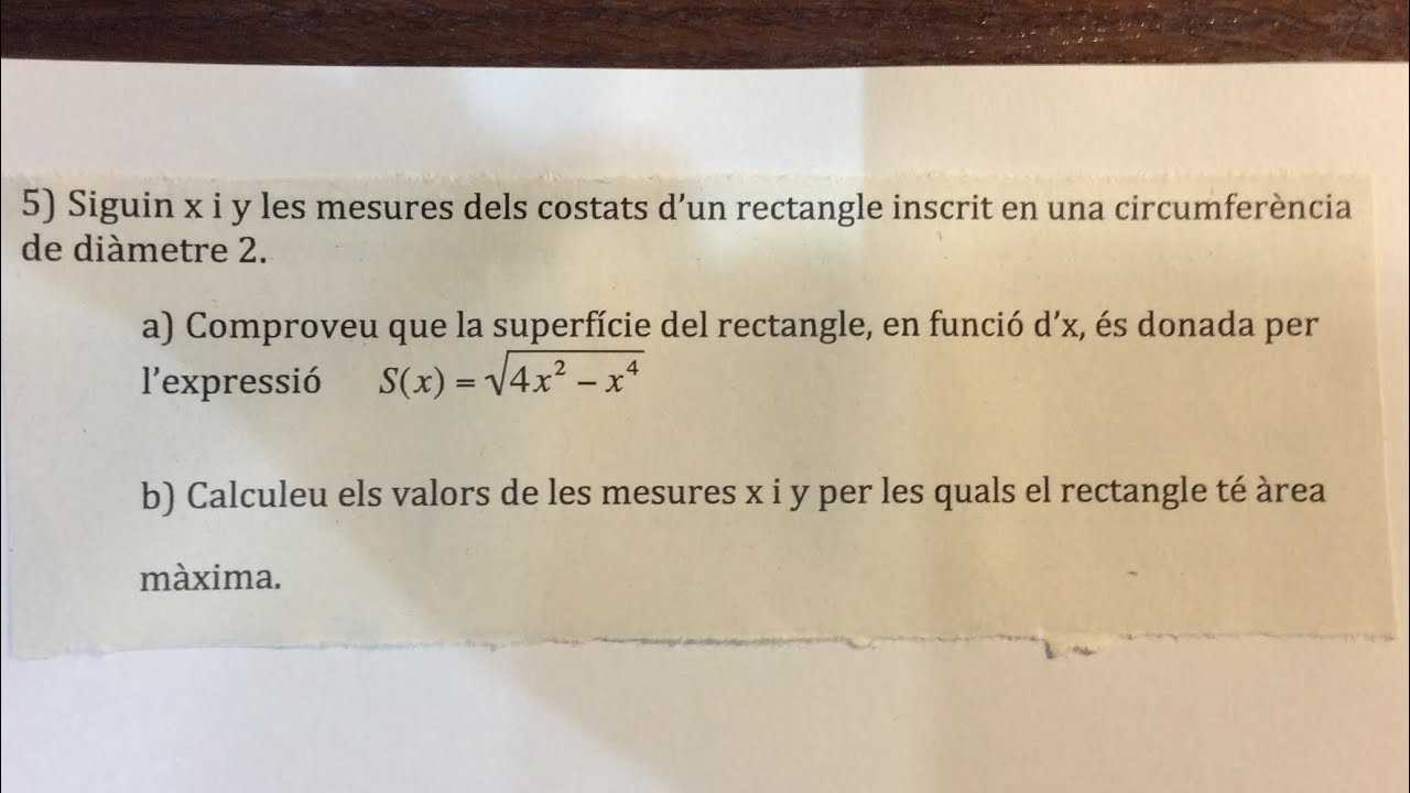 Optimitzaci&oacute;