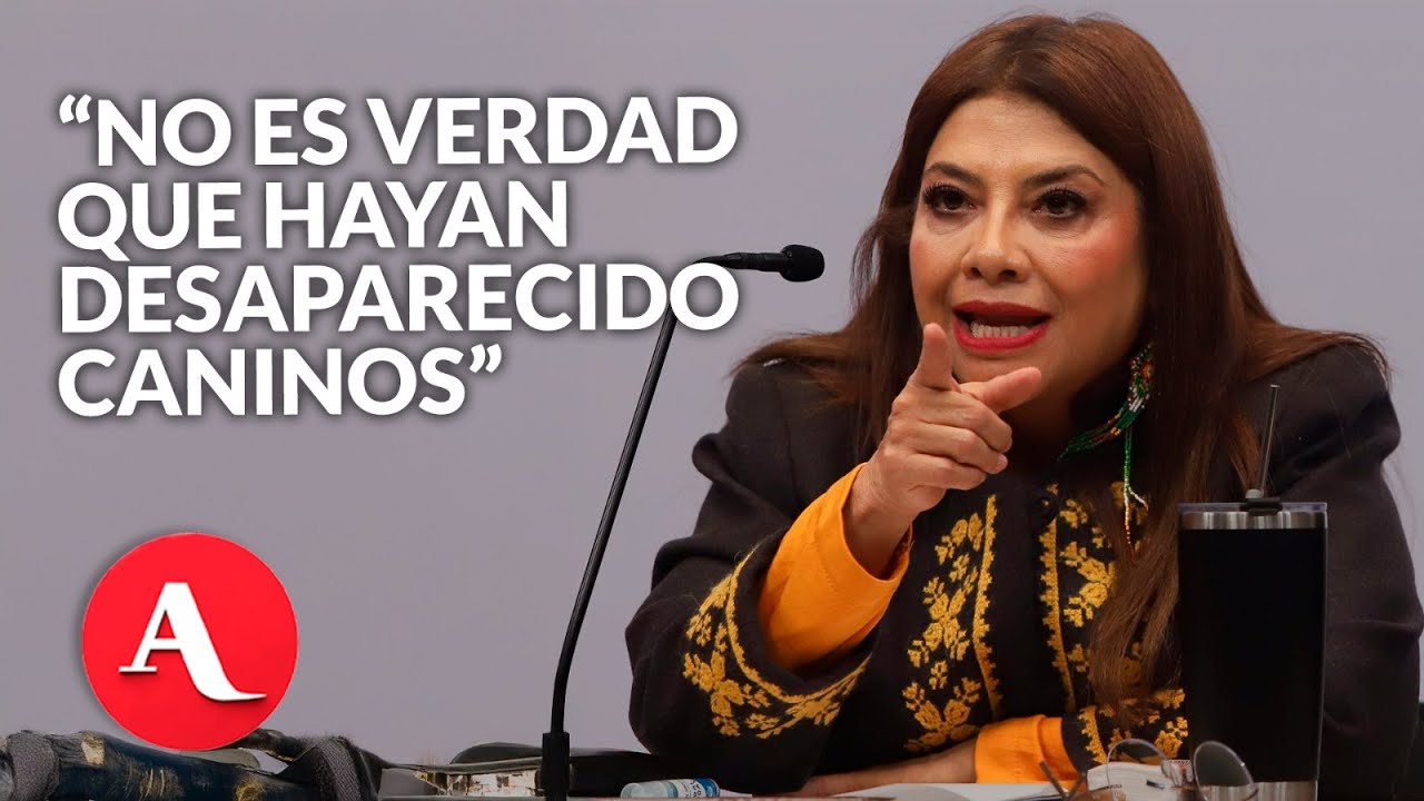 No han desaparecido perros trasladados del Refugio Franciscano: Fiscalía CDMX