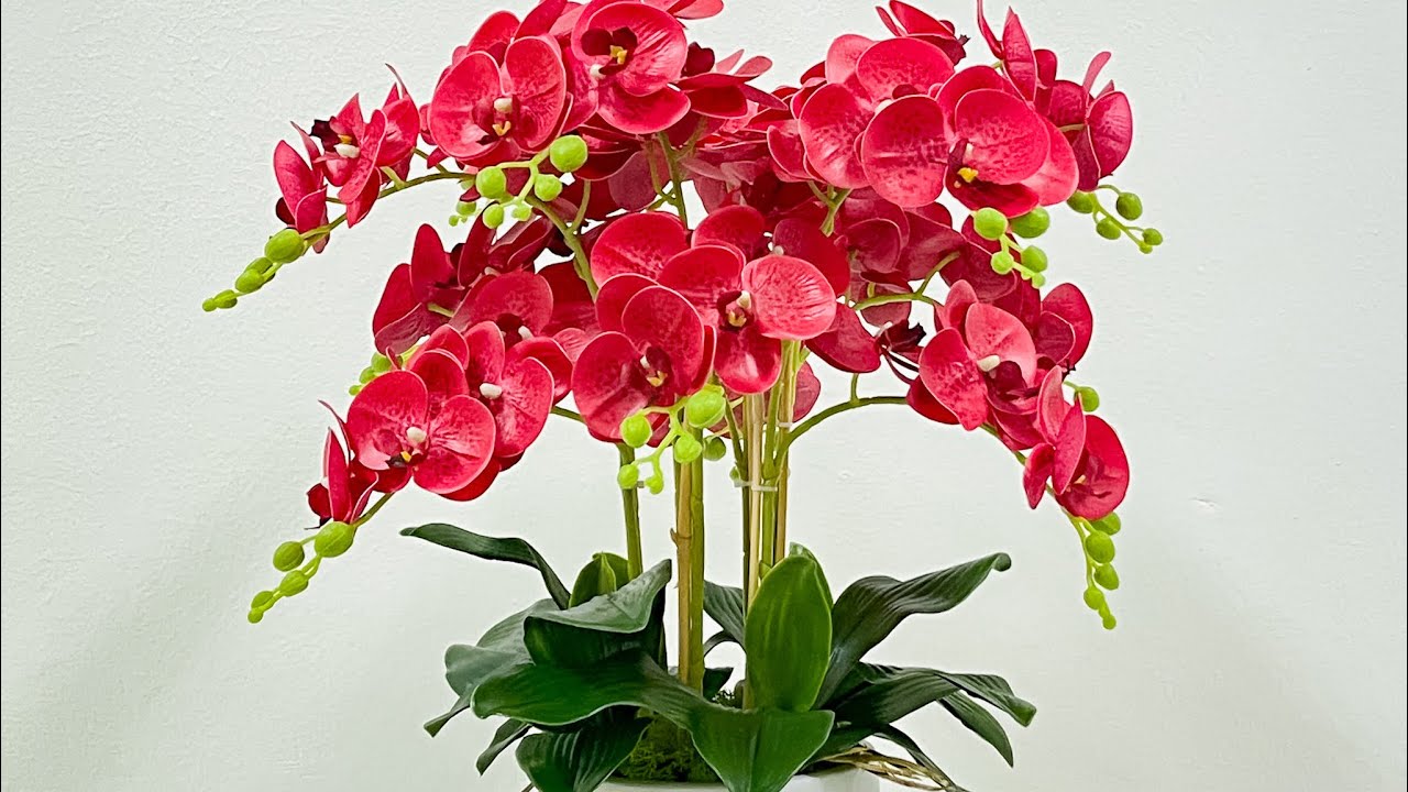3D PRINTED RED ORCHID @orchidzone
