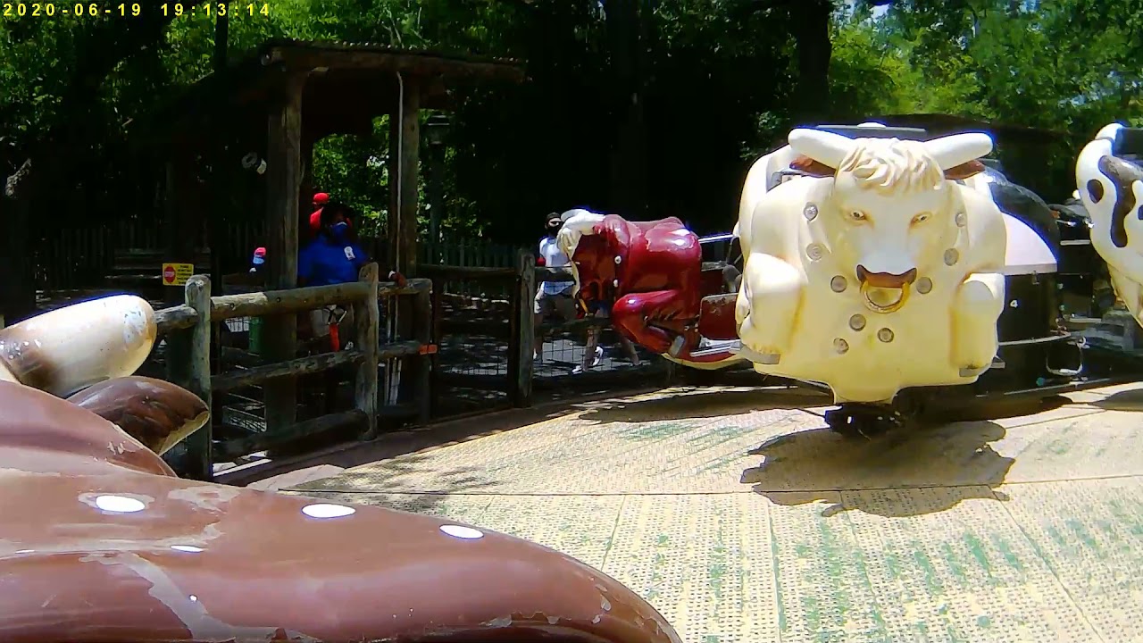 Rodeo Six Flags Over Texas