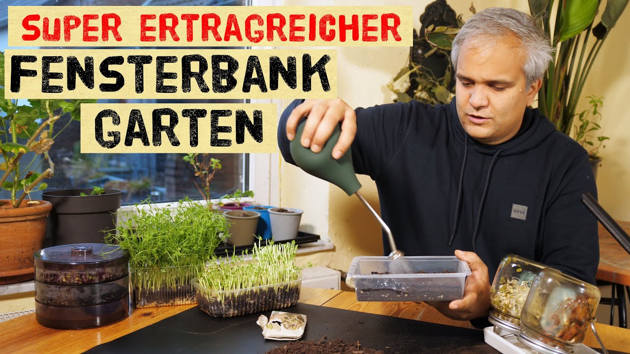 So kannst du auch im Winter auch ohne Garten ernten. Anbautipps für Keimsprossen und Microgreens