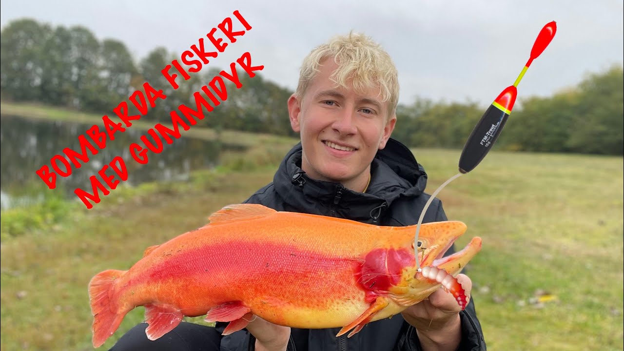 Bombarda Fiskeri med gummidyr - Put And Take Fiskeri