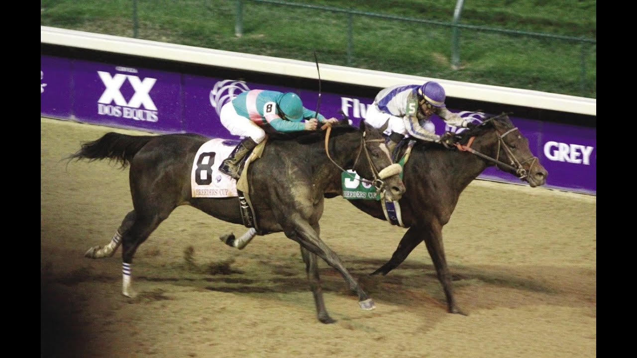 BLAME - 2010 Breeders Cup Classic + Pre & Post Race