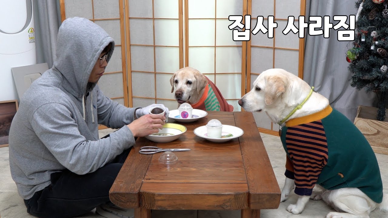 눈앞에 두쫀쿠 두고 사라졌는데 리트리버가 나를 기다린 이유