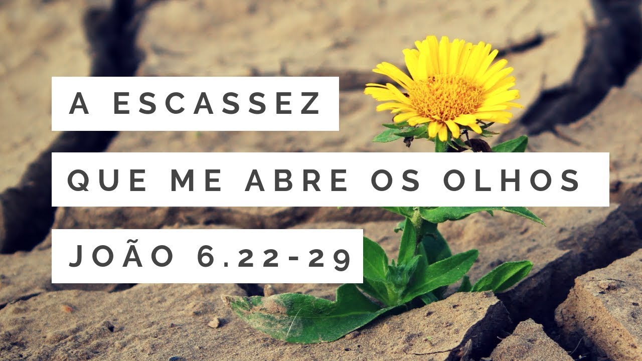 A escassez que me abre os olhos [João 6.22-29]