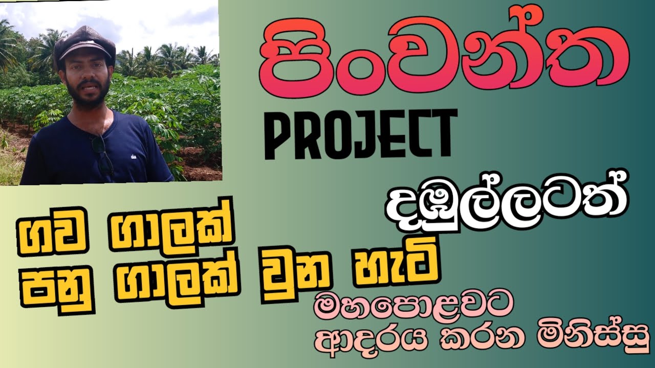 Vermicompost ,පිංවන්ත project   , දඹුල්ල