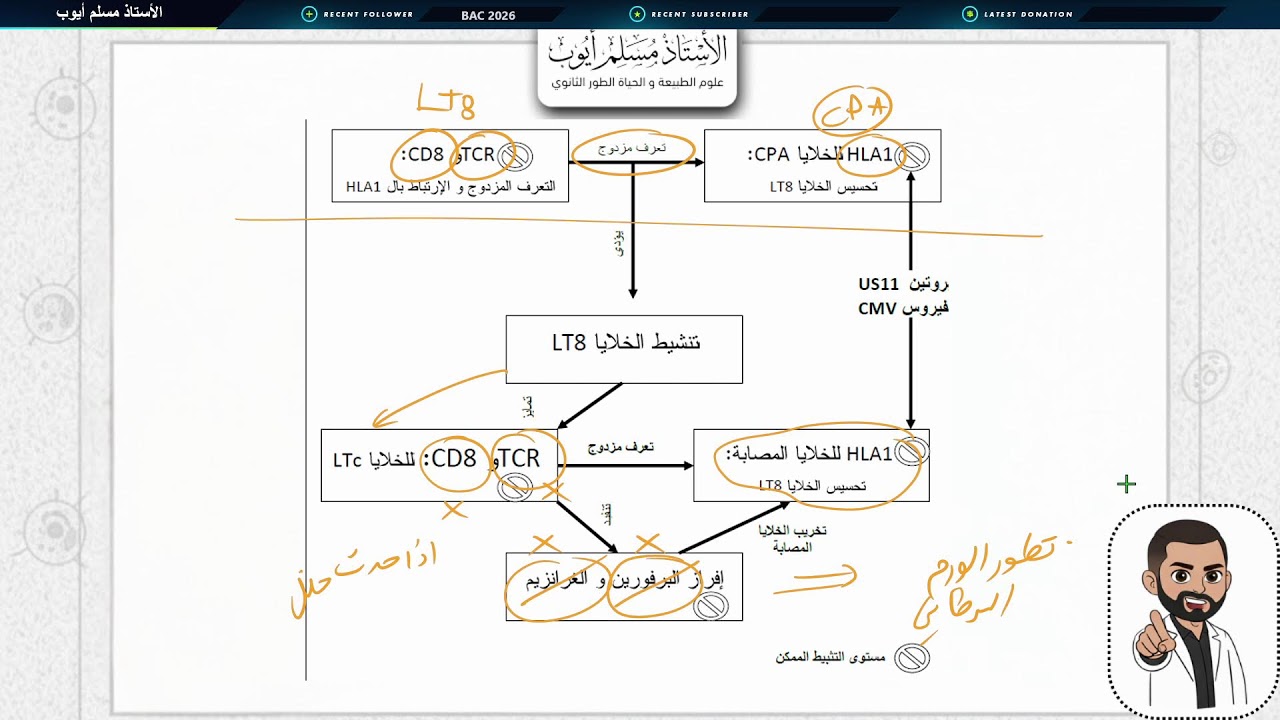 تمرين فيروس CMV الوحدة 4 بكالوريا 2026