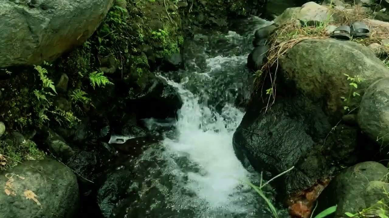 En 10 Minutos Dormirás con Este Sonido – Relaxing River Sounds para el Insomnio
