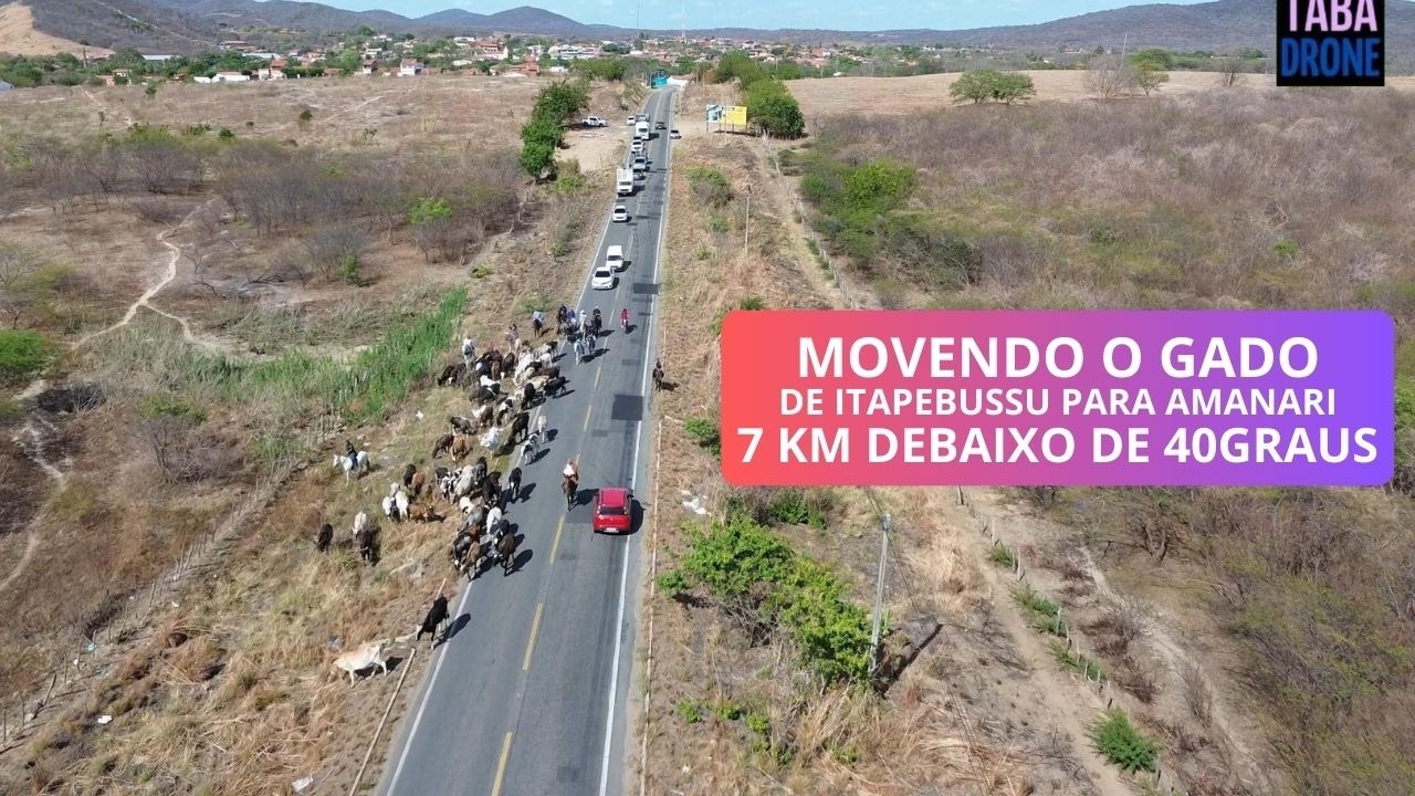 Movendo o Gado de Itapebussu para Amanari