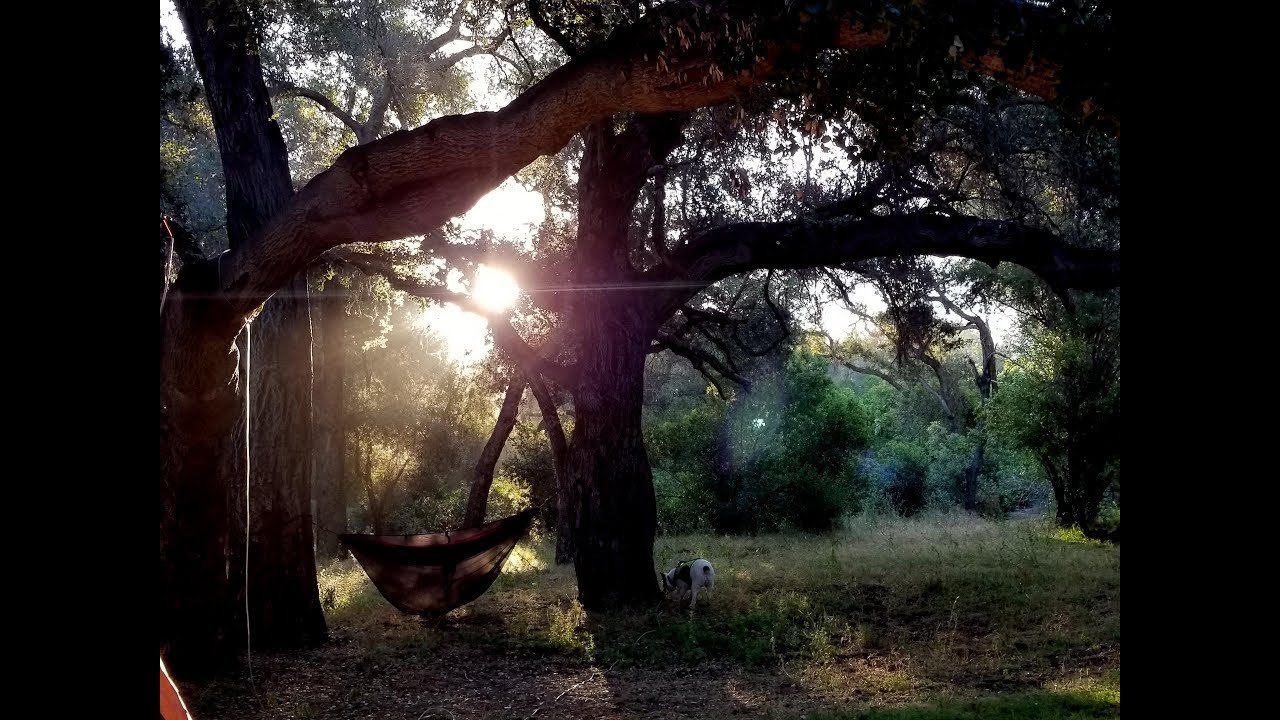 Fremont Campground FPV Vortex Mojo 230 Santa Barbara Santa Ynez River
