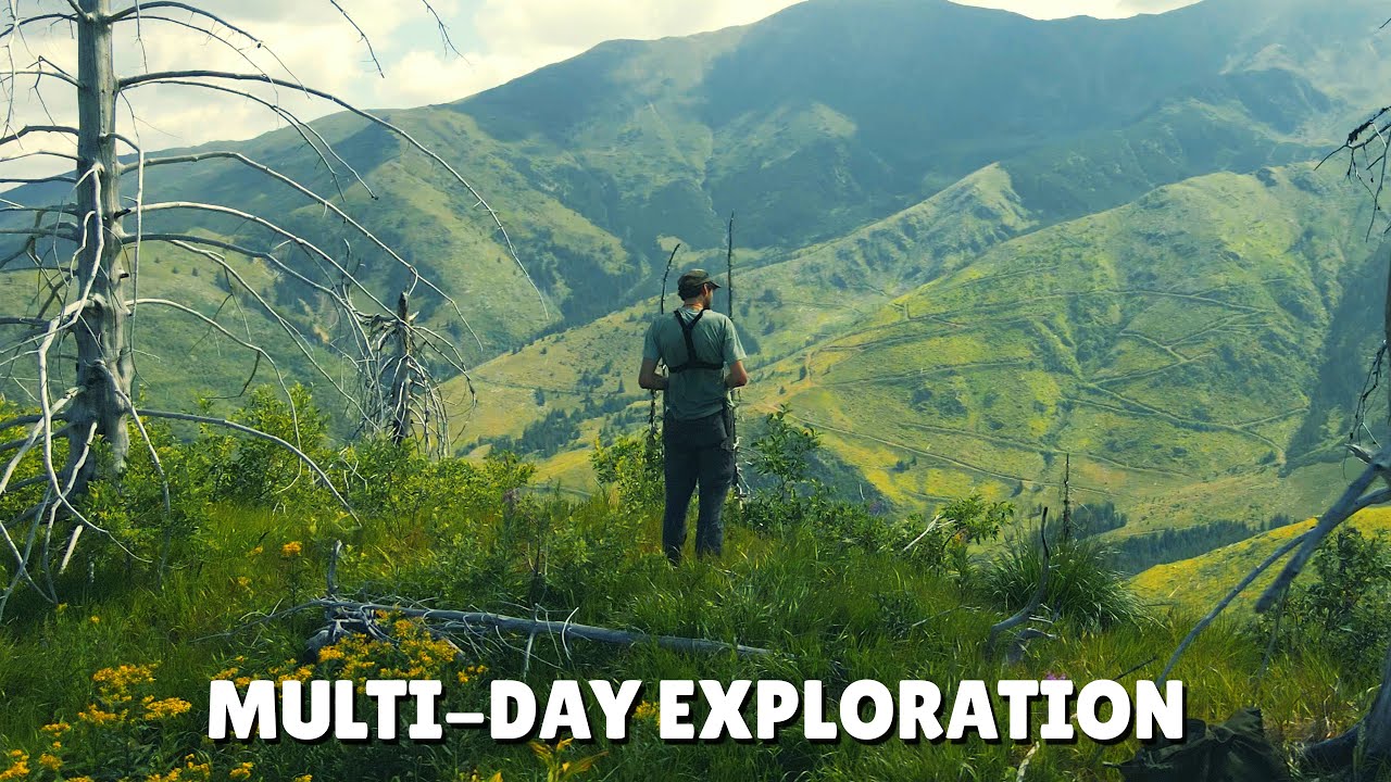 Tracking through Europe's rare WILDERNESS | Close encounter with BEAR & Cub! (Ep. 3)