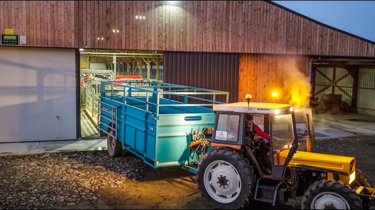 Visite de cet élevage laitier en Bretagne !