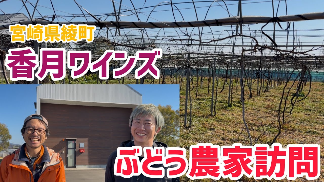 香月ワインズ〜宮崎県綾町〜農家訪問log