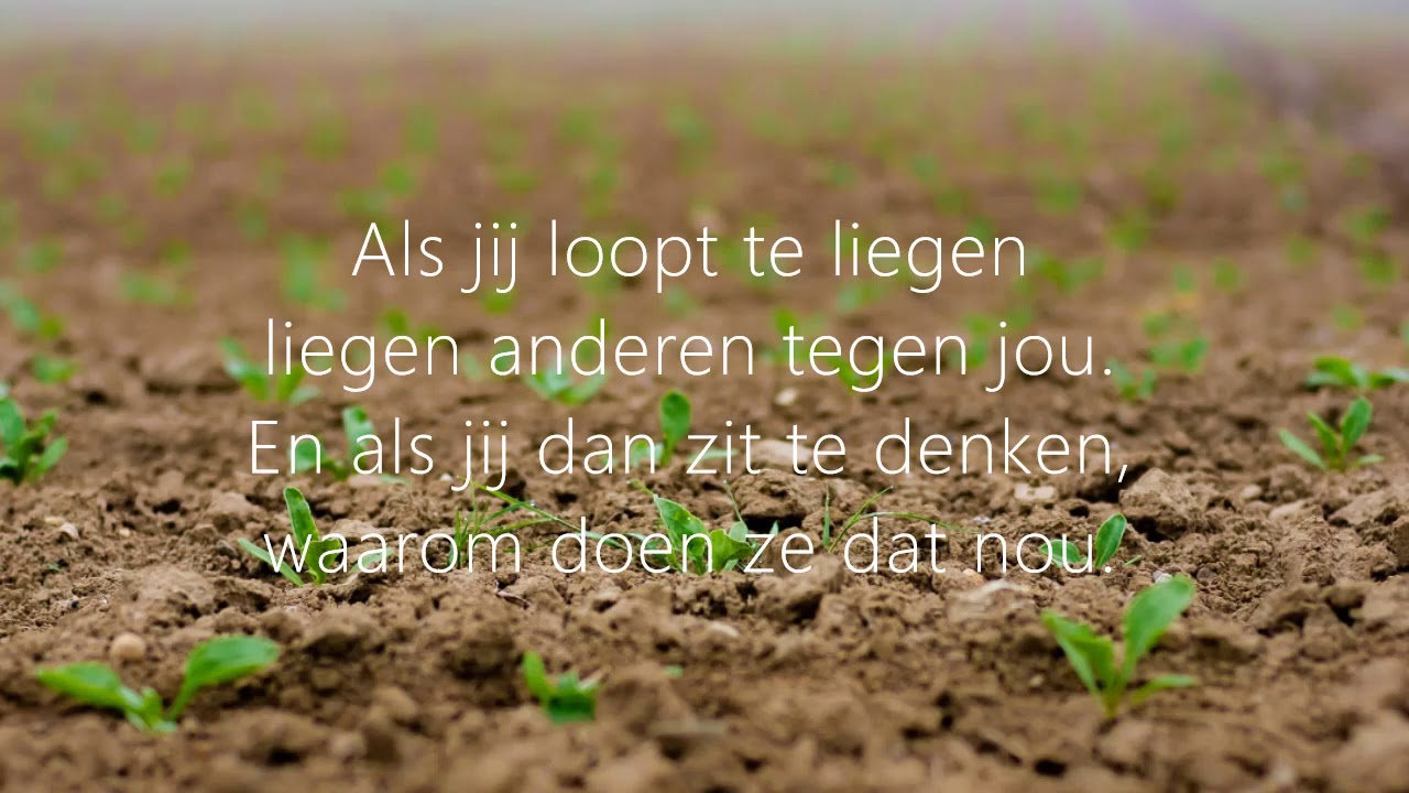 Wat je zaait zal je oogsten