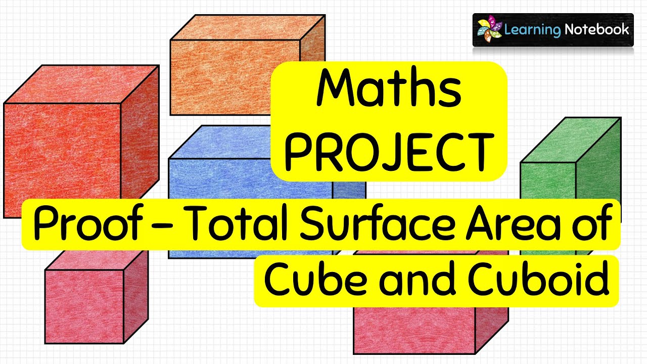 Surface Area of Cube & Cuboid Formula Proof || Maths TLM, Working Model, Activity