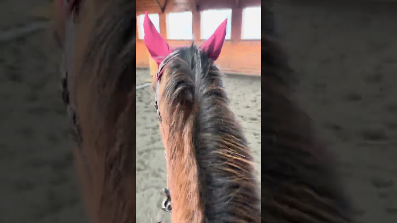 Barn vlogggg