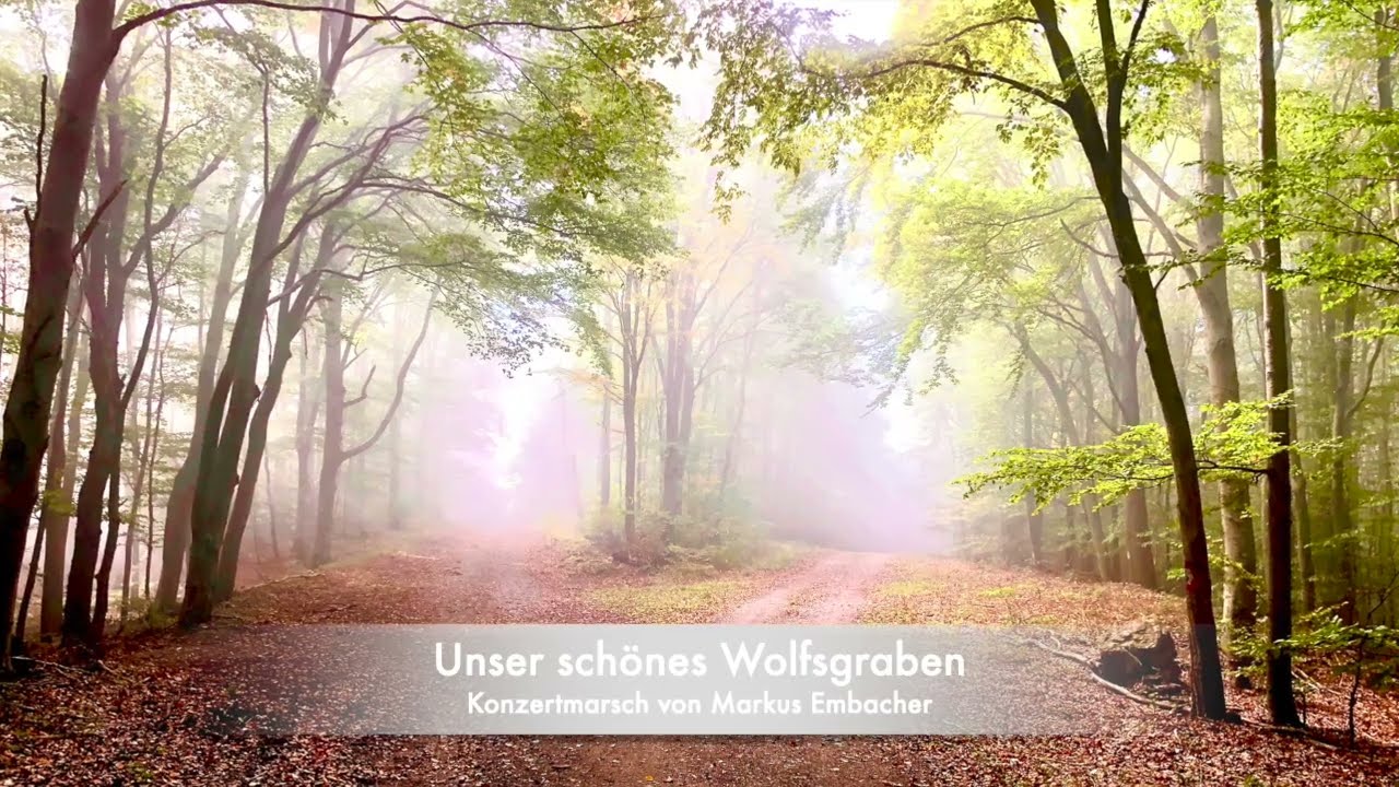 Musikverein Tullnerbach - Unser schönes Wolfsgraben (Marsch)