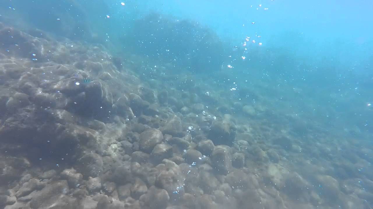 Snorkeling at Champagne Reef, Dominica