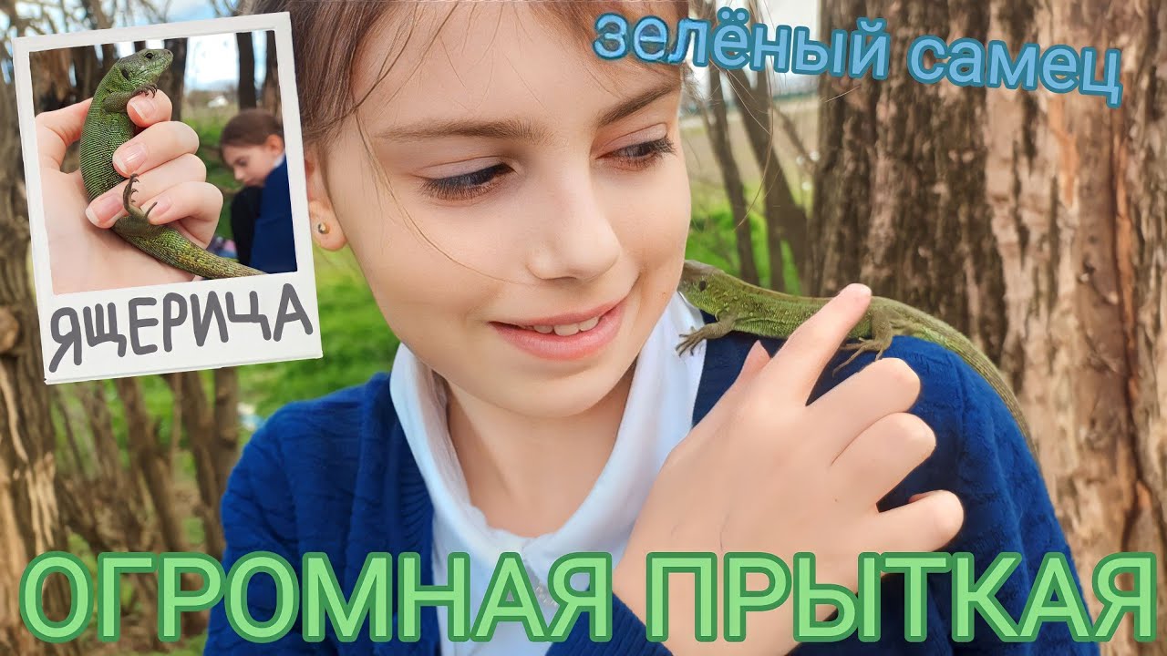 Поймали ОГРОМНУЮ прыткую / Ловля ящериц