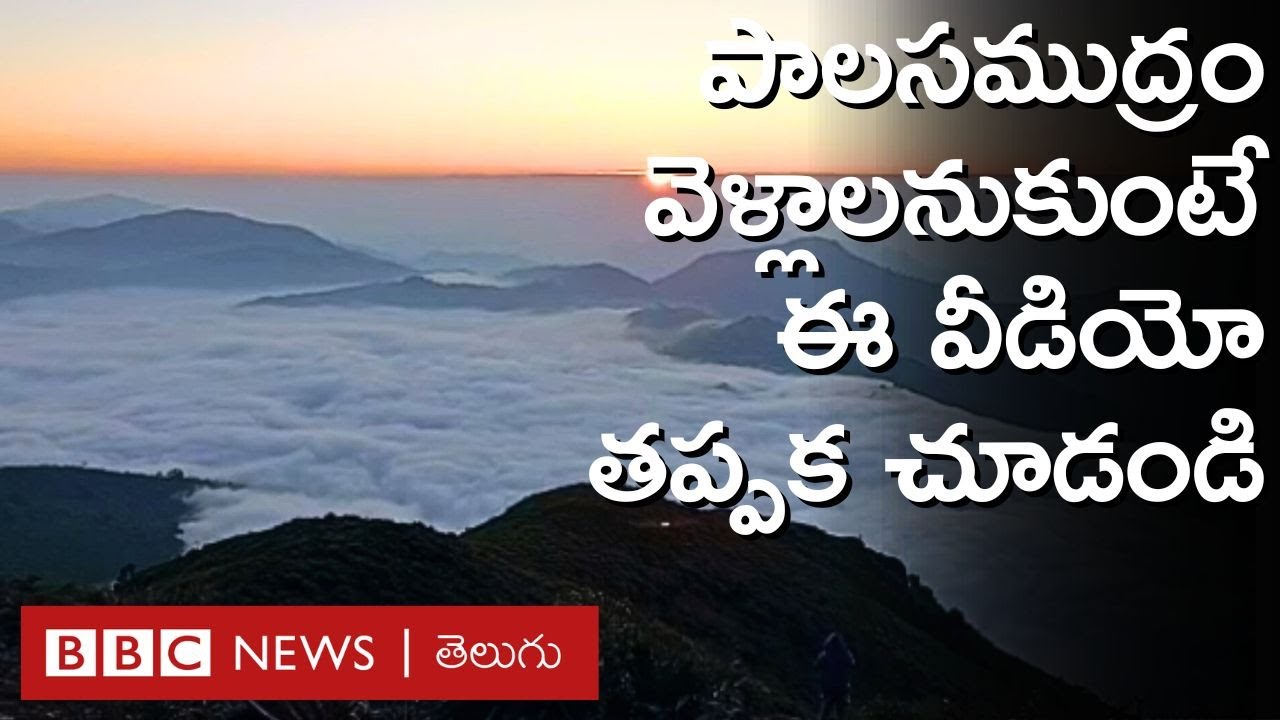 Vanjangi: మన్యంలో ఈ అద్భుతమైన పాల సముద్రానికి వెళ్లాలనుకుంటే ఈ వీడియో తప్పకుండా  చూడండి | BBC Telugu
