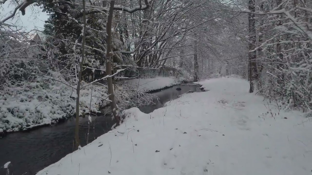  Die Tarpenbek Nebenfluss Norderstedt 4.Jan.26
