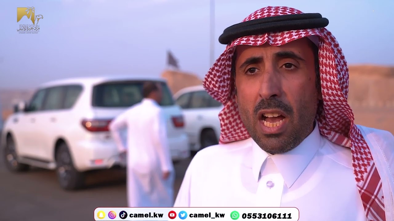تقرير عن دور بلدية  عنيزة  في تجهيز مزاد عنيزة للابل