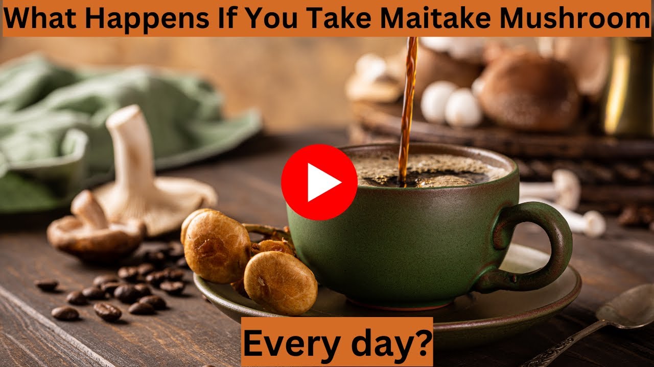 What Happens If You Take Maitake Mushroom every day?