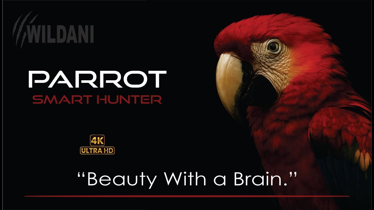 🦜 Parrot – Intelligence and Color in One | Wildani