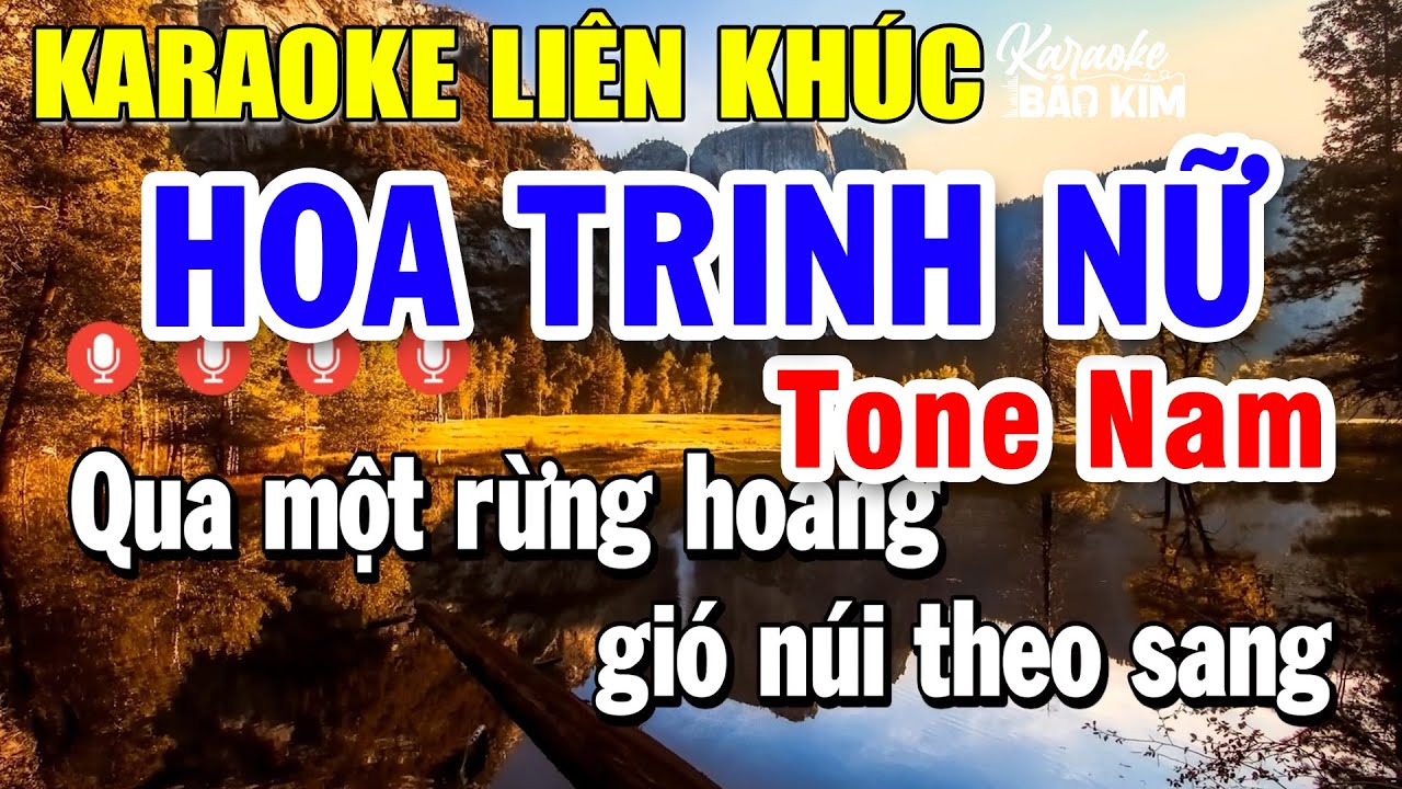 Karaoke Liên Khúc Nhạc Trữ Tình Tone Nam | Tuyển Chọn Nhạc Bolero Dễ Hát - Hoa Trinh Nữ | Bảo Kim
