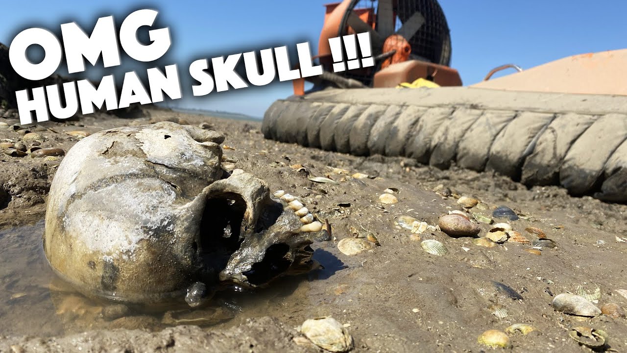 OMG HUMAN SKULL found Mudlarking - plus anchors, bottles and Roman bits - Hovercraft History Hunters