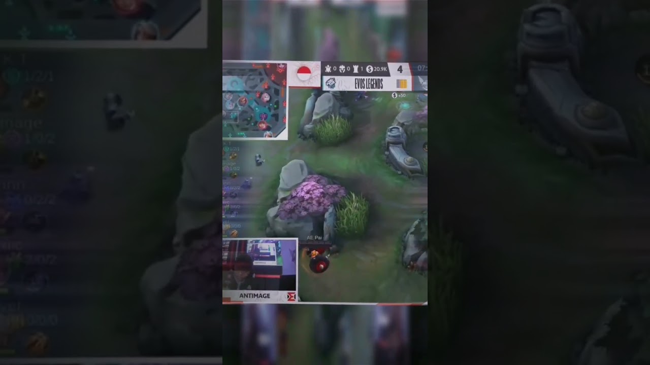 perbedaan baxia Pai sama kairi #mobilelegends #mlbb #mlbbshorts #mobilelegend #pai #aepai #alterego