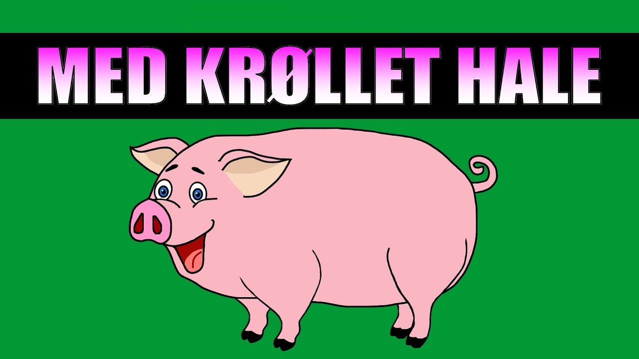 Med kr&oslash;llet hale - en sang om grisen! | Tekst og animasjon
