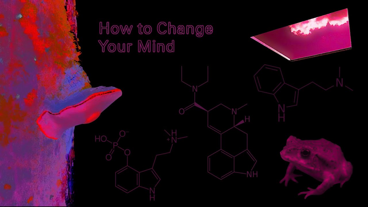 How to Change Your Mind - lonnzz.