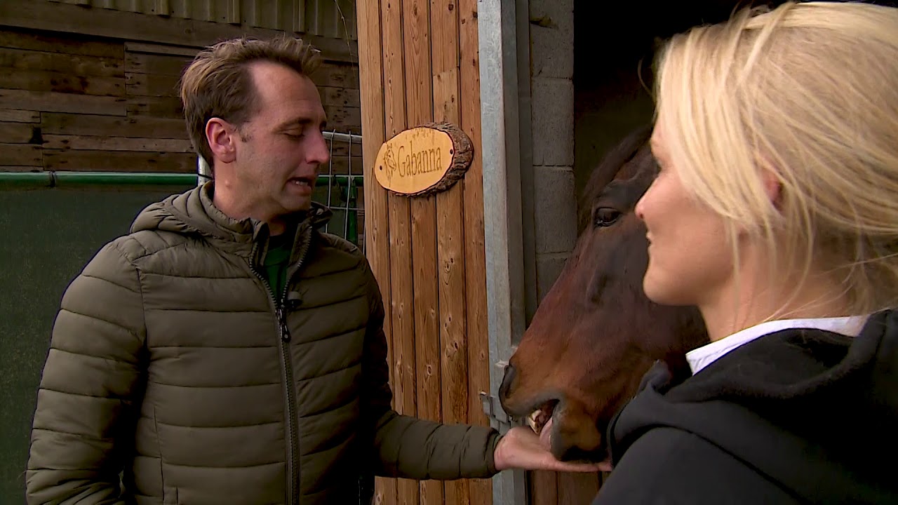 Equina op Hippo TV: Stalondeugden - weven