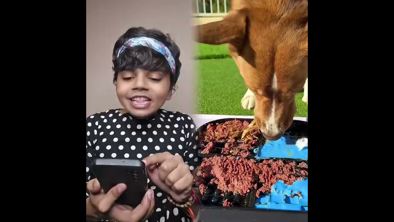 🤣👌👌👌2026 pov Must-Watch Crazy Clips Compilation #humor #fypシ #pov #fyp #foryou #funny 😍😜