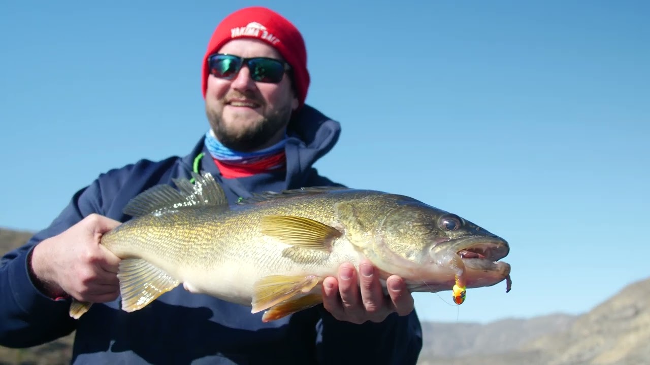 Walleye Fishing Techniques! | Columbia River Drift Fishing for Walleye! | Rigging for Success!