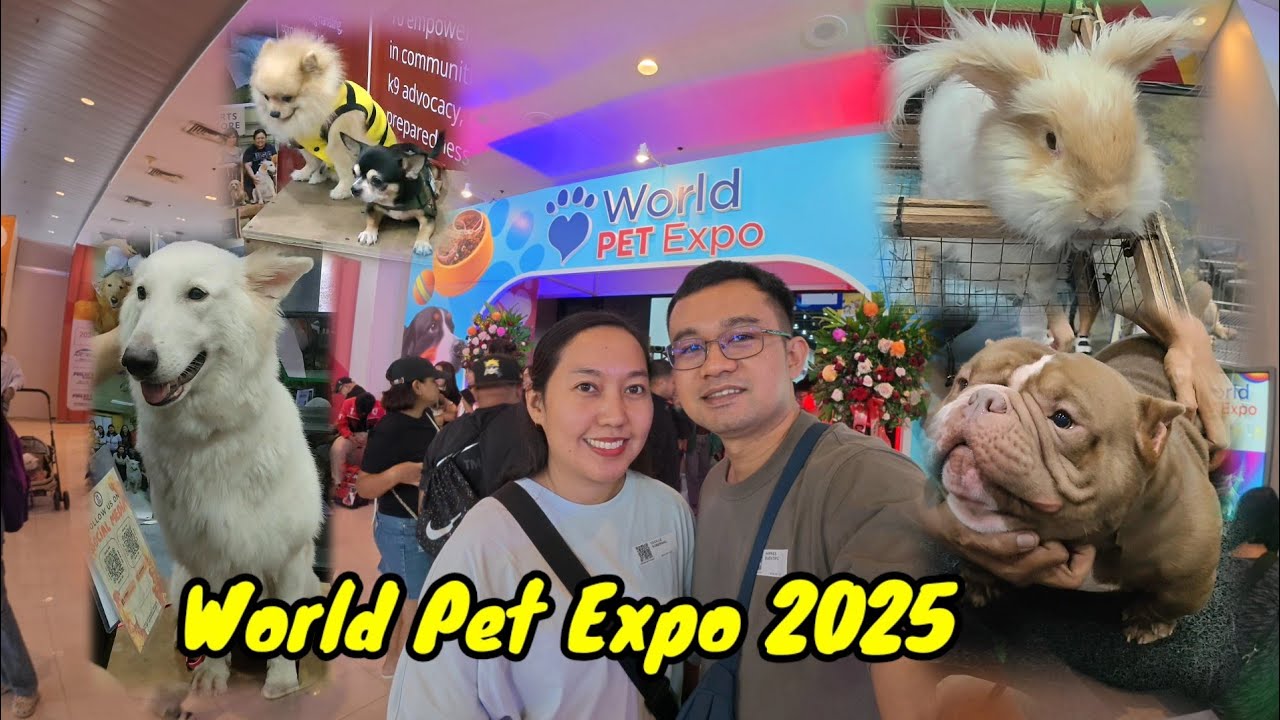 WORLD PET EXPO 2025 : Cute Pets Everywhere | Entongs World