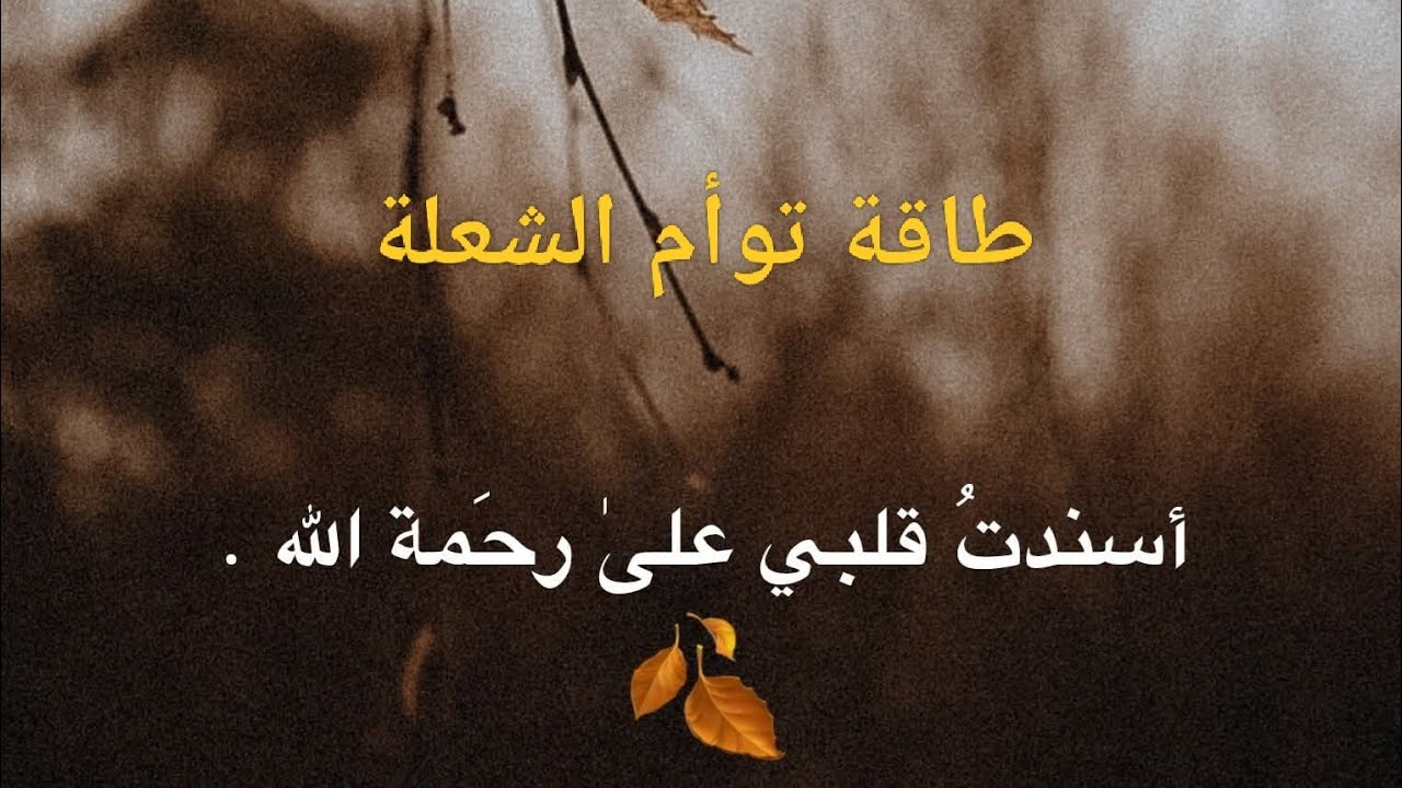 توأم الشعلة طاقة بين الاستغلال والحنين ..