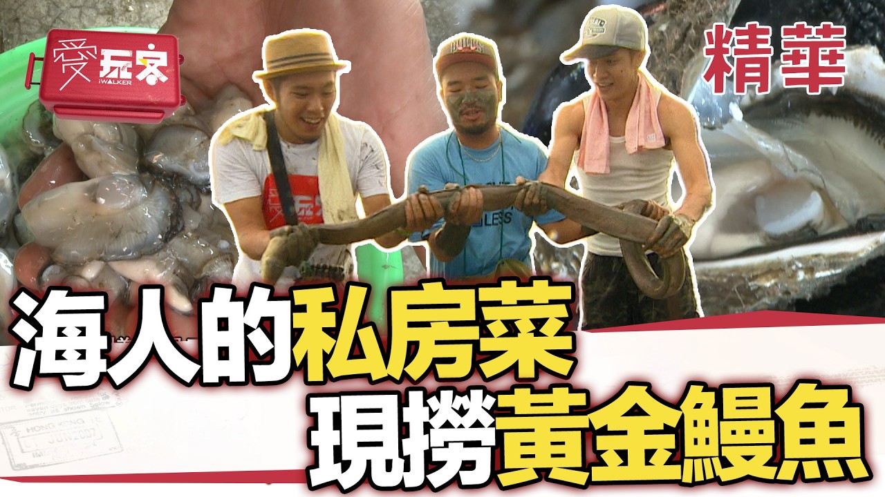 討海人的私房菜 好大喔 五星現撈 哇咧太誇張了吧【週一愛玩客】自由發揮精華｜20120924
