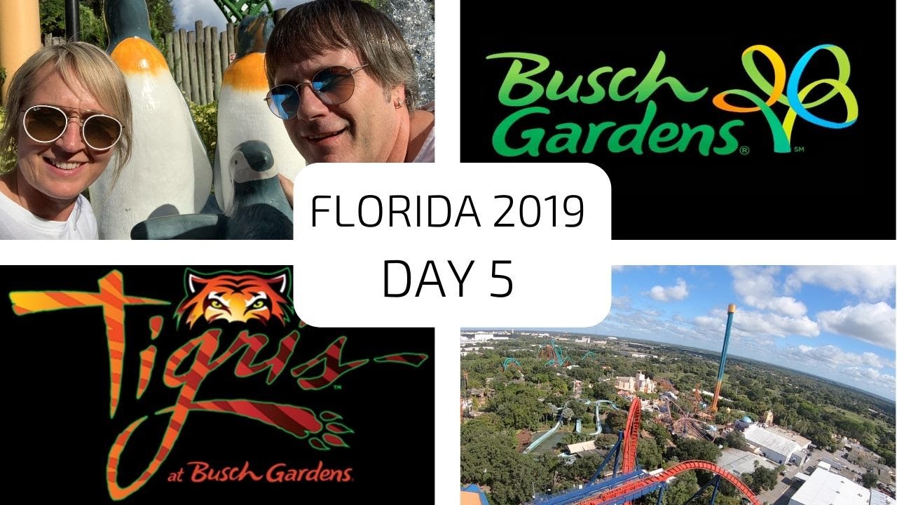 FLORIDA VLOG - 2019 - Day 5 - BUSCH GARDENS - TIGRIS - SHEIKRA - FALCONS FURY - CHIK-FIL-A