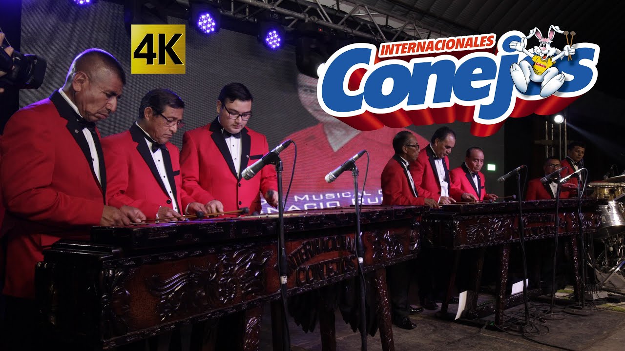 Internacionales Conejos  -  Concierto de Marimba Pura 4k