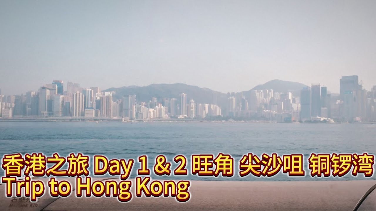 旅行Vlog｜香港之旅 旺角 尖沙咀 铜锣湾 Trip to Hong Kong with my son Day 1 & 2