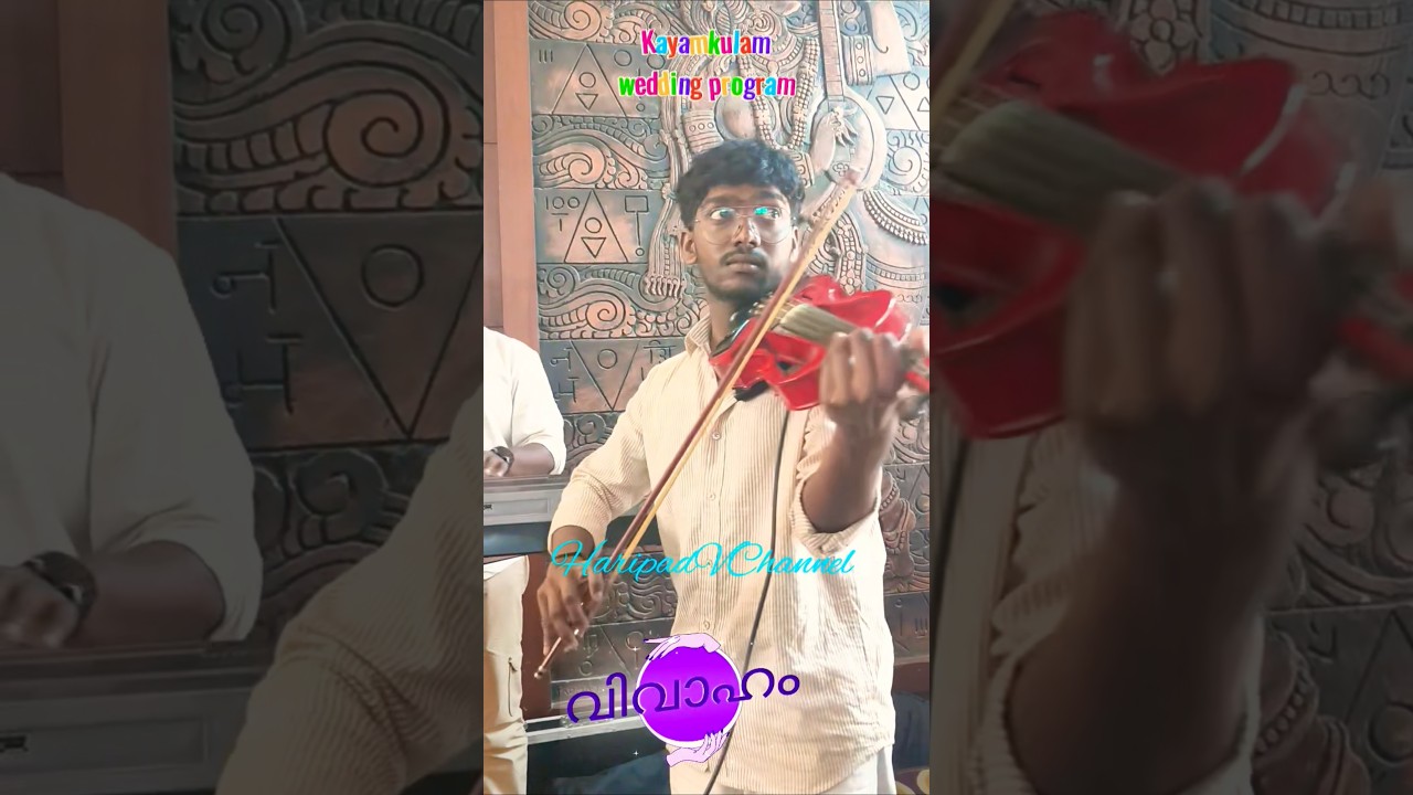 അളിയൻ്റെ മകൾ അഭിരാമിയുടെ വിവാഹം #shortsvideo #automobile #lifeisbutadream wedding today