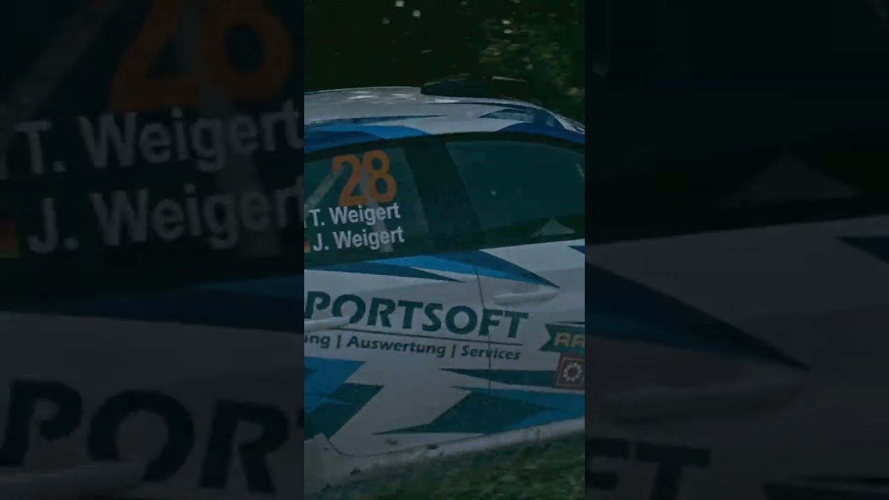 Rally W4 - Peugeot 208 Rally4