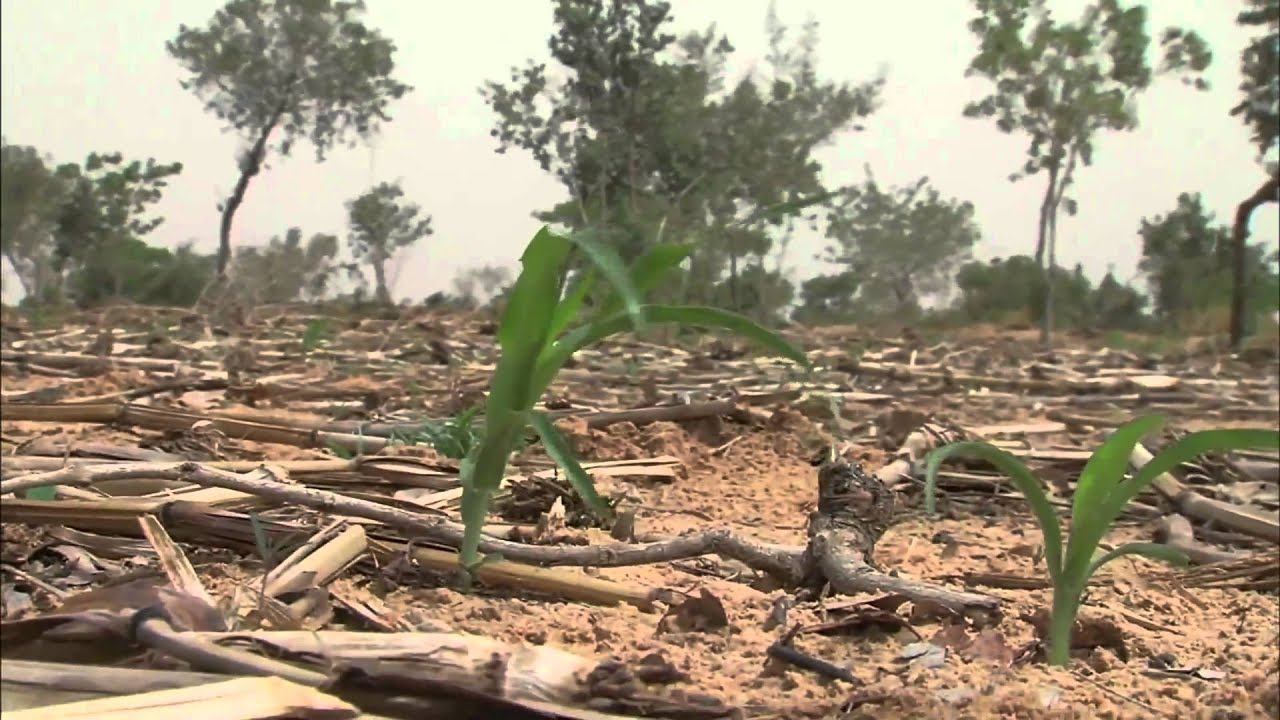 Niger Leads West Africa in Addressing Drought and Famine