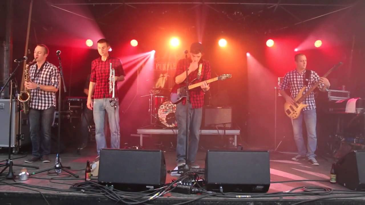 Purpleized - Nearest Pub Live @ Alternatiba 2015